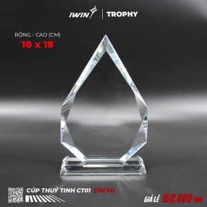 Kỷ Niệm Chương thuỷ tinh (Nhọn)