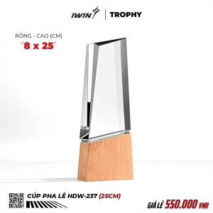 Kỷ Niệm Chương pha lê iWin HDW-237