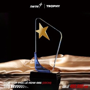 Kỷ Niệm Chương pha lê iWin NGÔI SAO