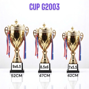 CUP TH 2003